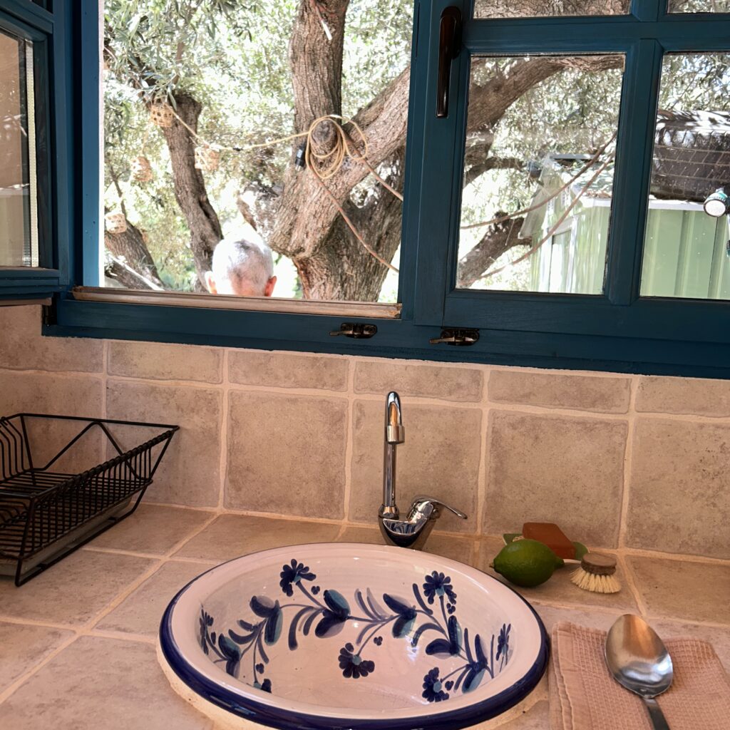 Cocina con azulejos